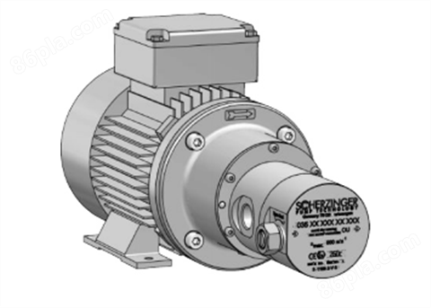 SCHERZINGER齿轮泵2040-016-B-XM-18-2/-4