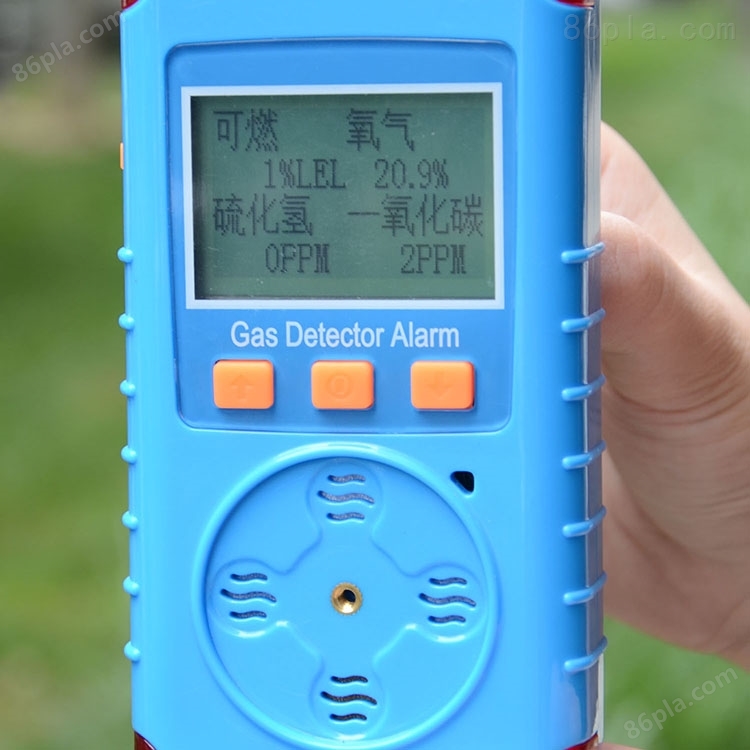 硫化氢、氧气二合一气体检测仪 *报警器型号